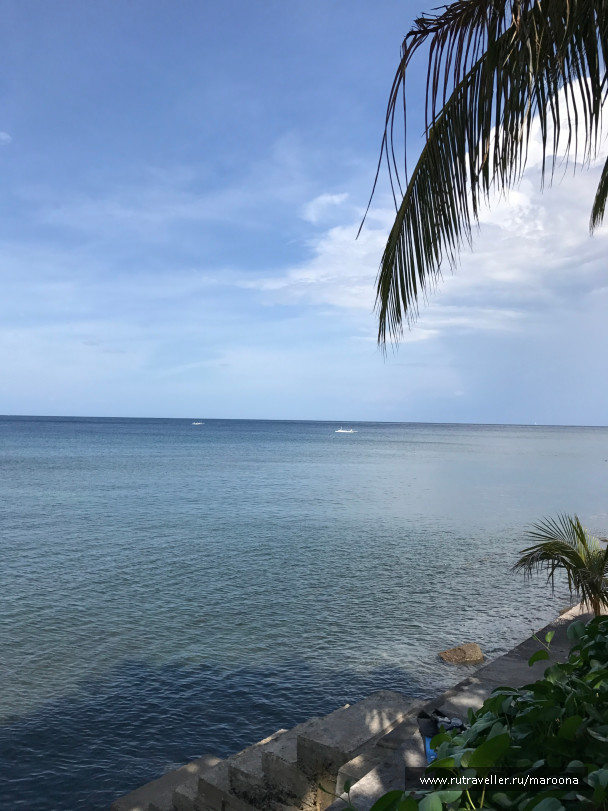 photo 1411573