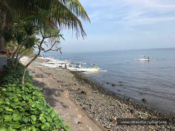 photo 1411579