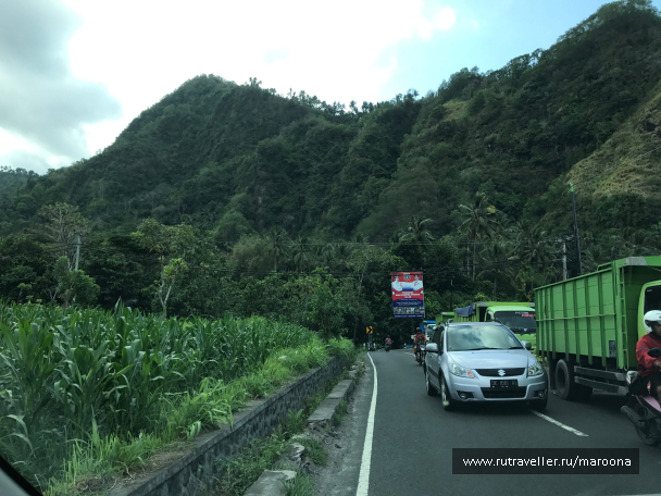 photo 1411581