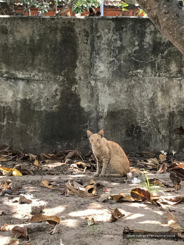 photo 1411583