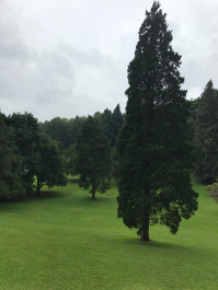 photo 1411610