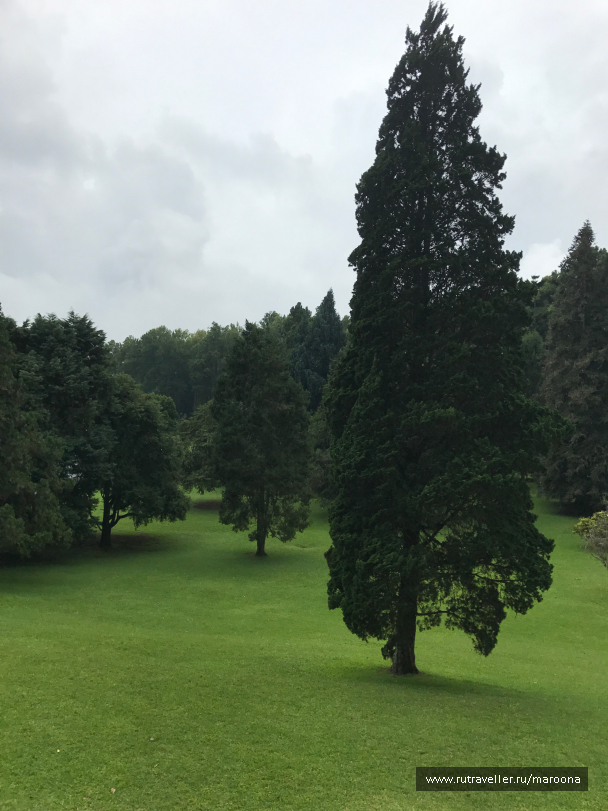 photo 1411610