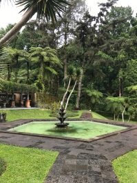 photo 1411614