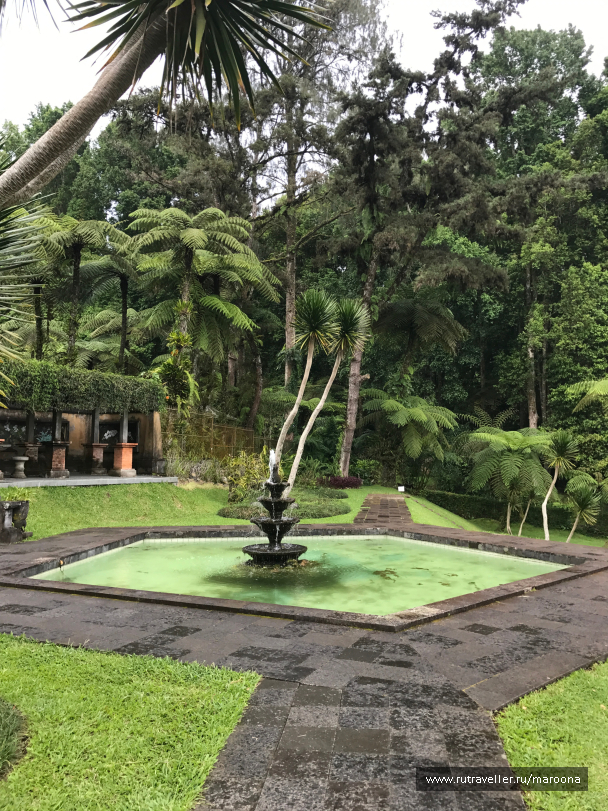 photo 1411614