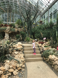 photo 1411616