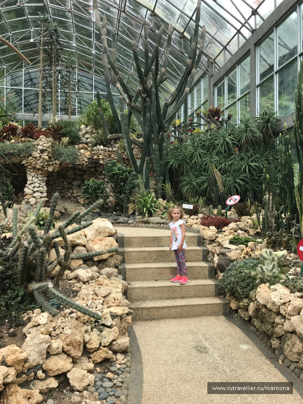 photo 1411616