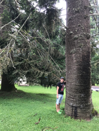 photo 1411617