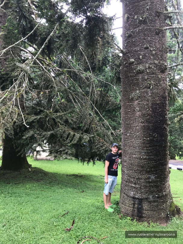 photo 1411617