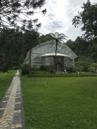 photo 1411618