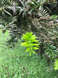 photo 1411619