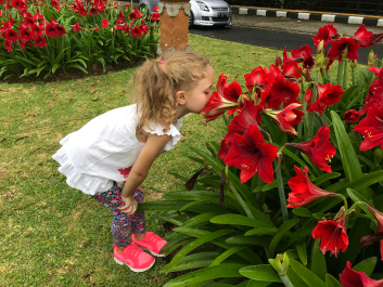 photo 1411621