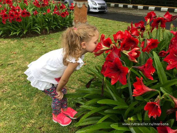 photo 1411621