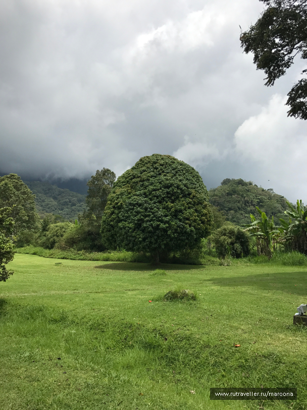 photo 1411624