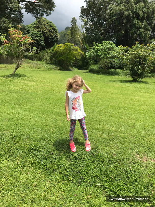 photo 1411626