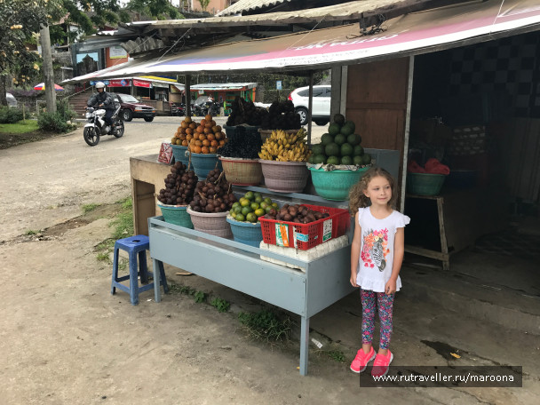 photo 1411627
