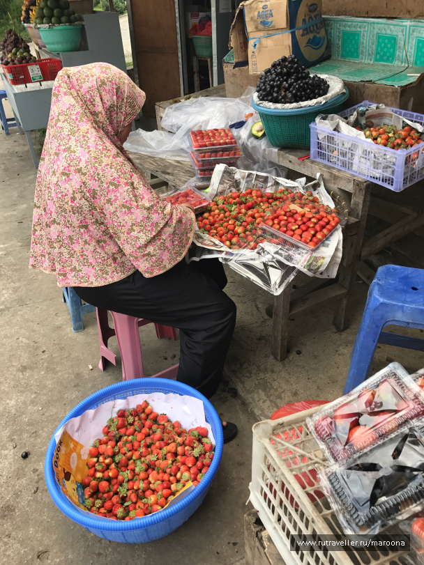 photo 1411629