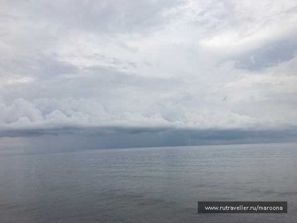 photo 1411638