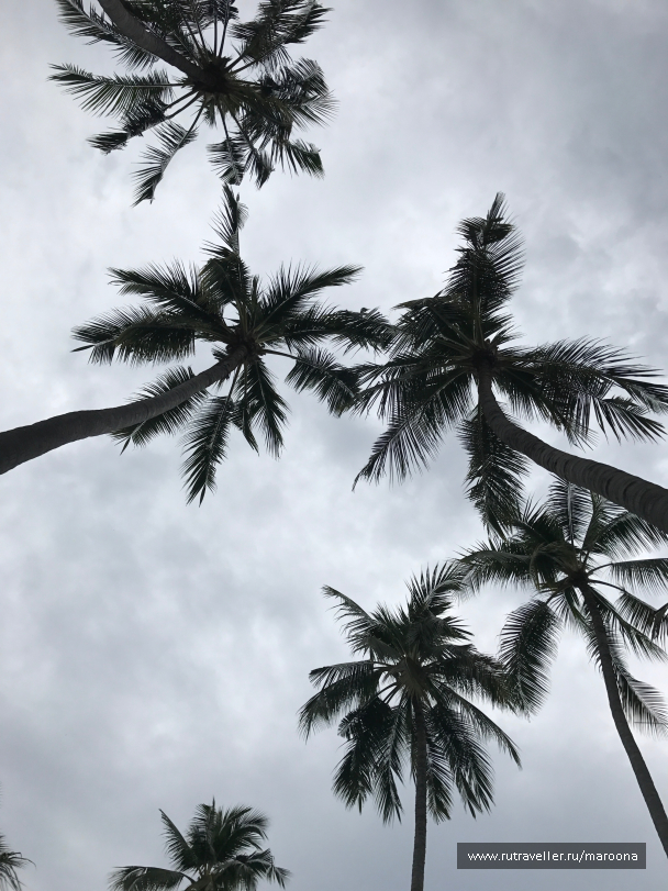 photo 1411639