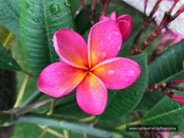photo 1411641