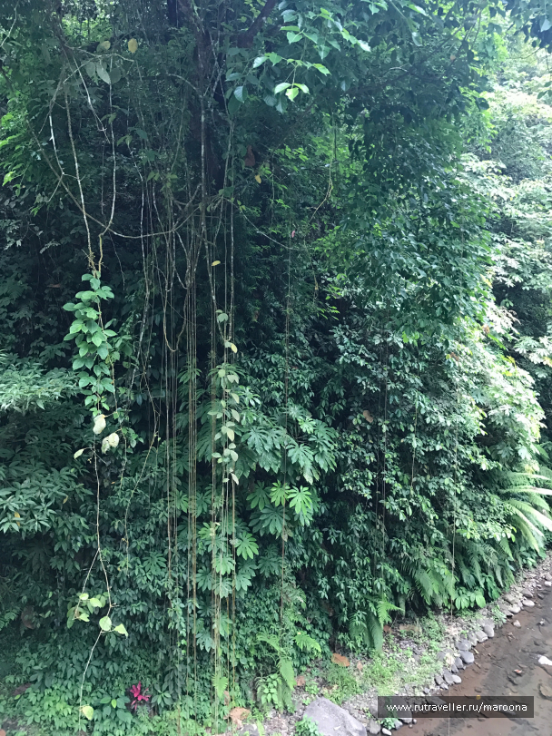photo 1411647