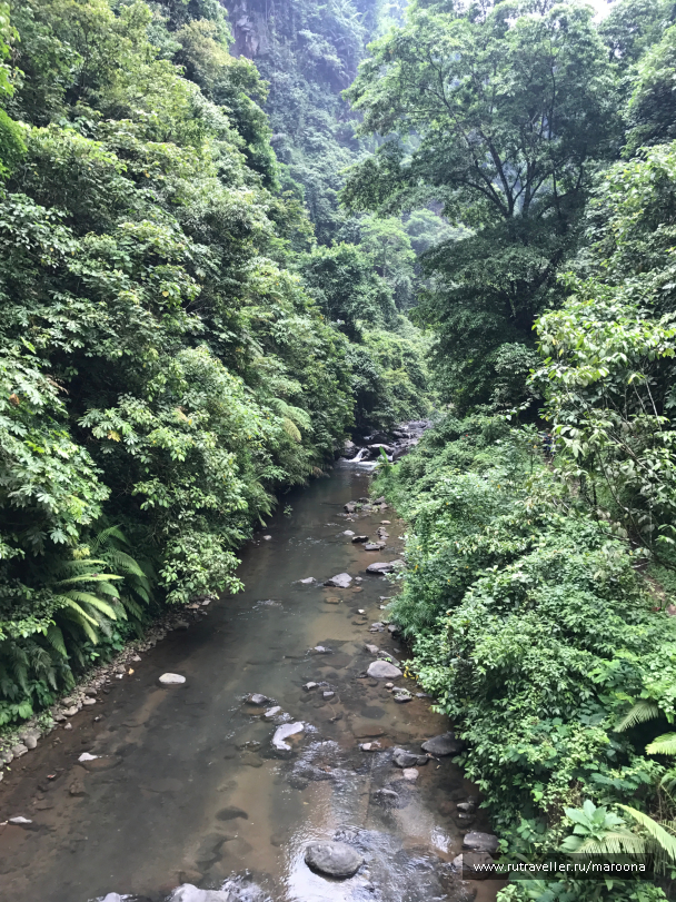 photo 1411648