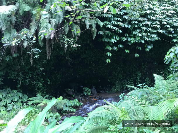 photo 1411650