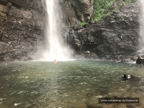 photo 1411654