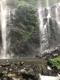 photo 1411655