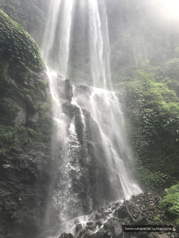 photo 1411657