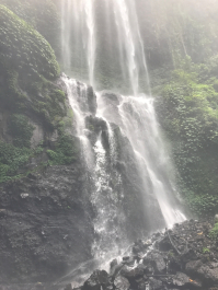 photo 1411658