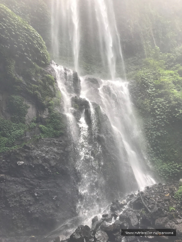 photo 1411658
