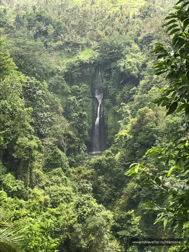 photo 1411665