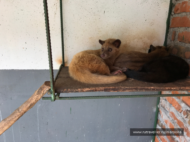 photo 1411670