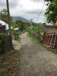 photo 1411671