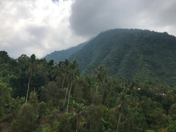 photo 1411677