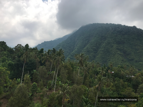 photo 1411677