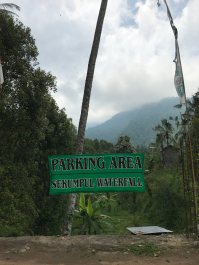 photo 1411678