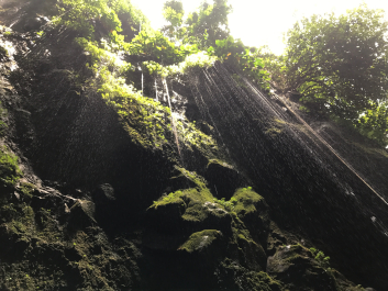 photo 1411680