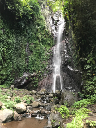 photo 1411683