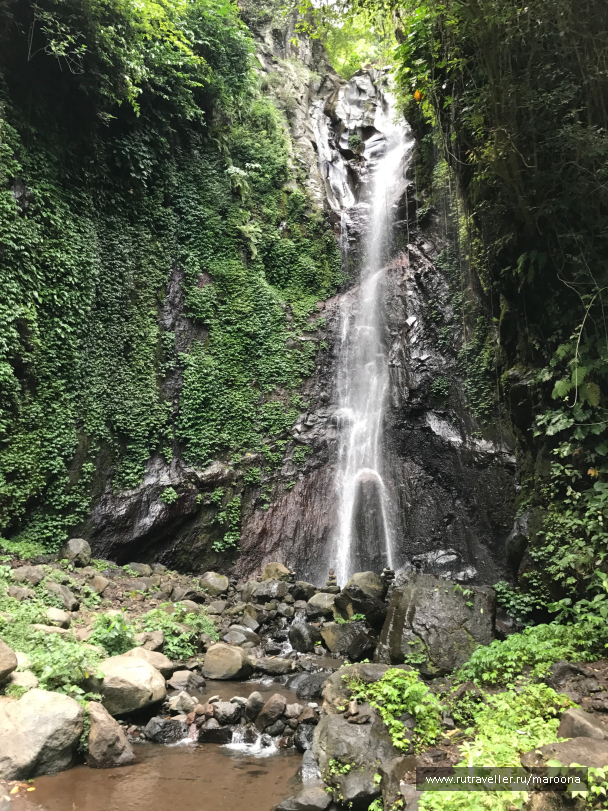 photo 1411683