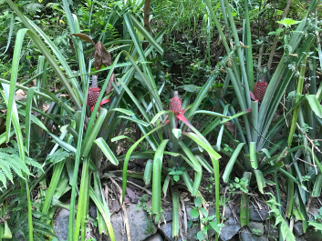 photo 1411685