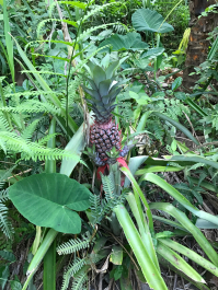 photo 1411686