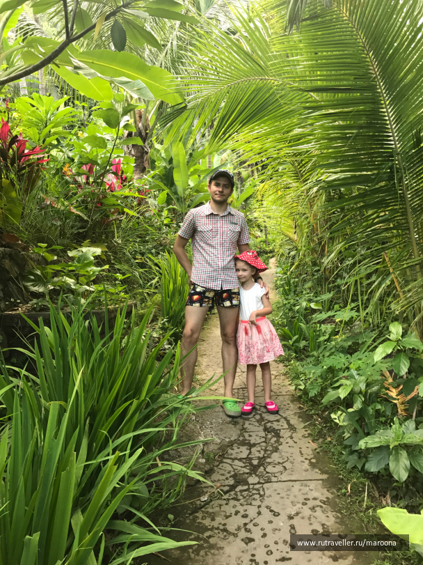 photo 1411687
