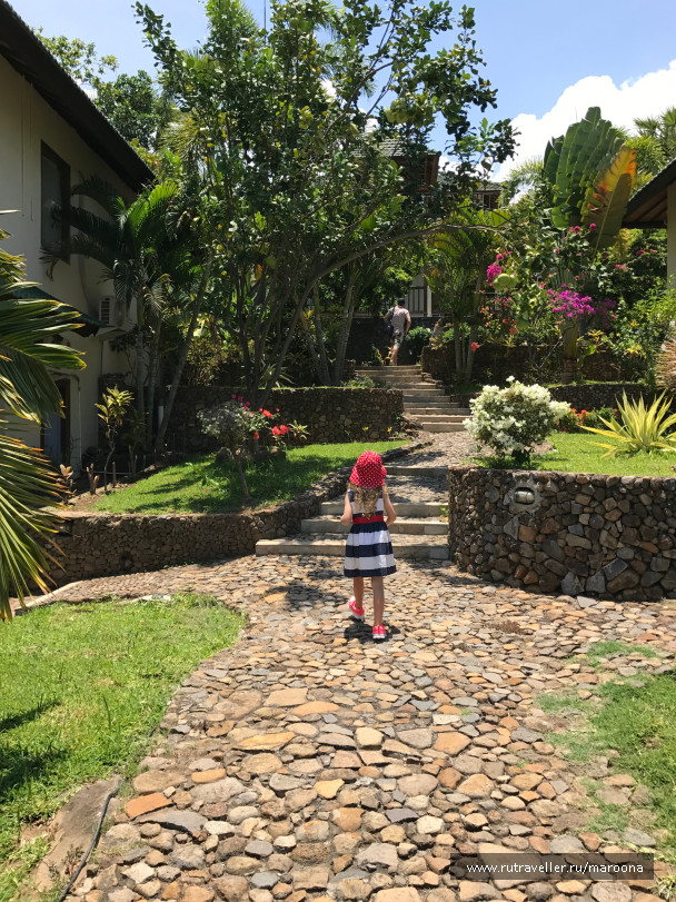 photo 1411692