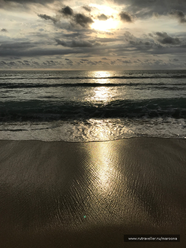 photo 1411724