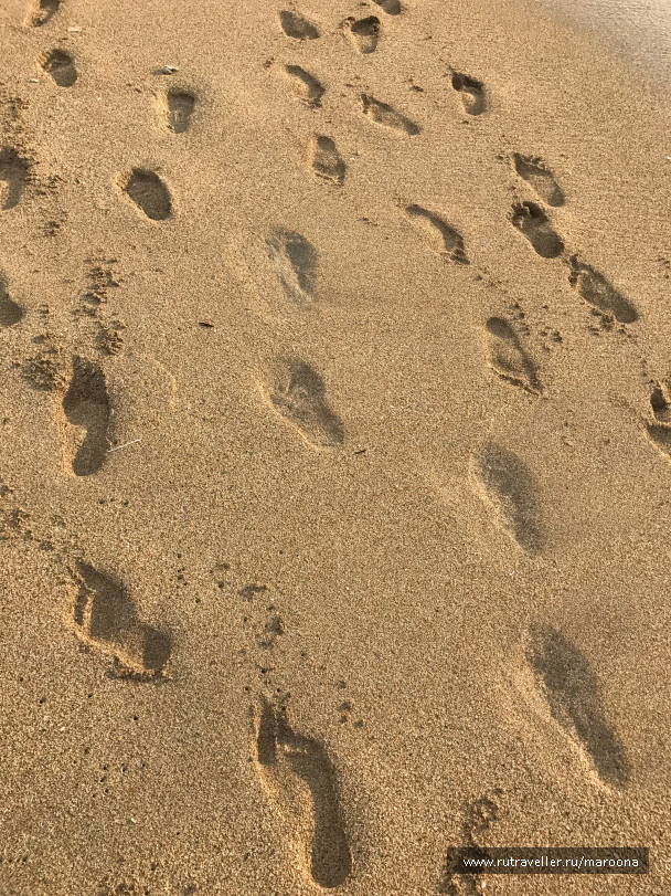 photo 1411725