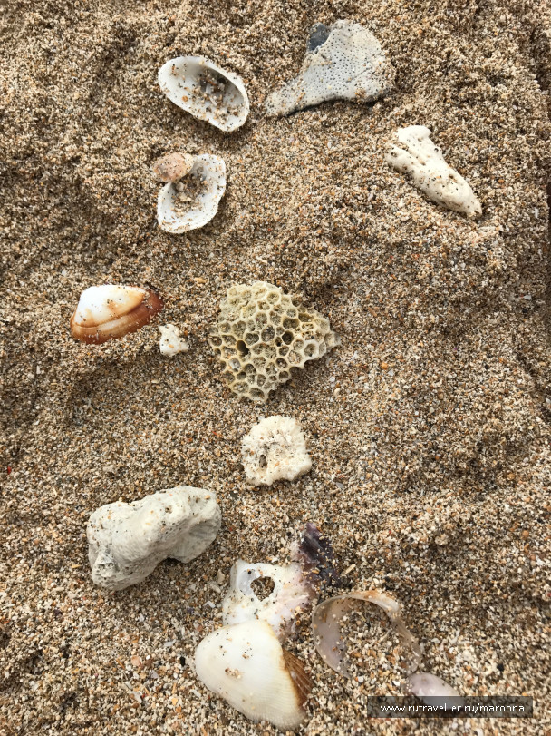photo 1411729