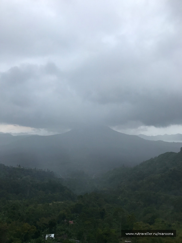 photo 1411744