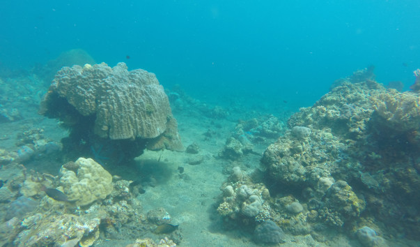 GOPR0501