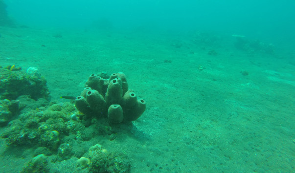GOPR0476